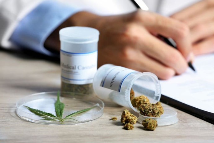 Medical Cannabis vs. Recreational Cannabis: Understanding the Differences