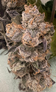 Exotic Alien Runtz Flower 35%